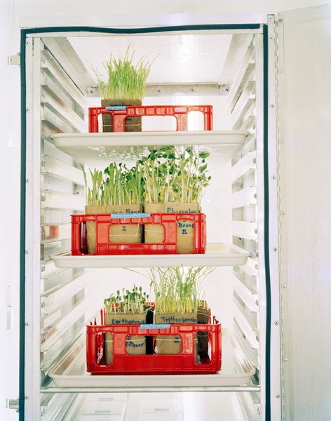 深入神秘的世界末日種子庫