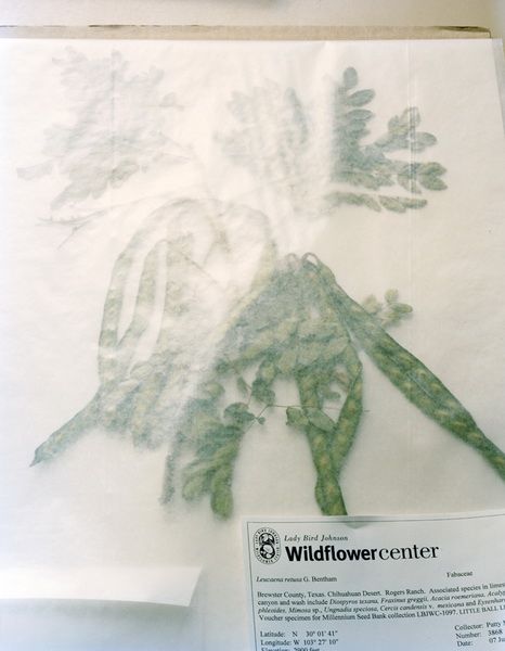 深入神秘的世界末日種子庫