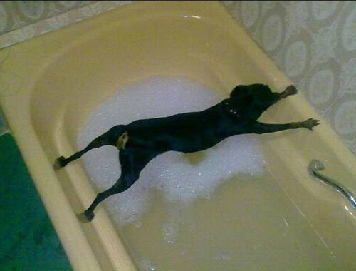 好歡樂！張張有亮點