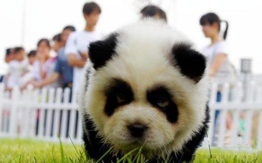 好歡樂！張張有亮點