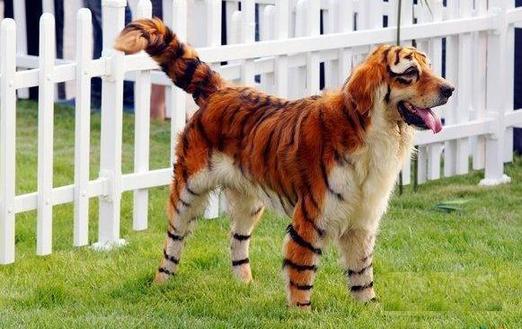 好歡樂！張張有亮點