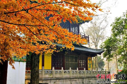 盤點國內十大“秋色”