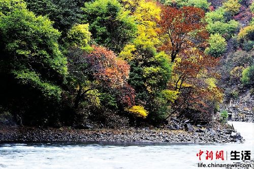 盤點國內十大“秋色”