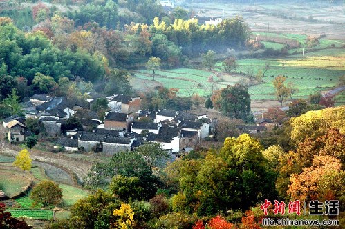 盤點國內十大“秋色”