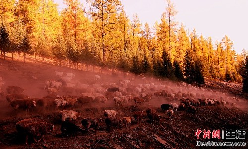 盤點國內十大“秋色”