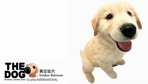 動(dòng)物小了才可愛(ài)！超級(jí)萌的小動(dòng)物