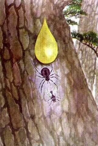 這些都看過 說明你老了！