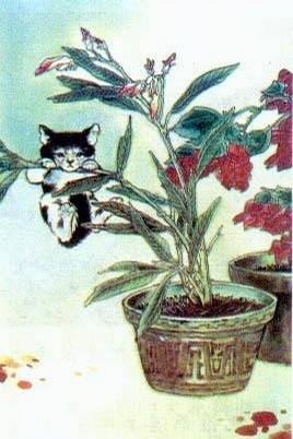 這些都看過(guò) 說(shuō)明你老了！