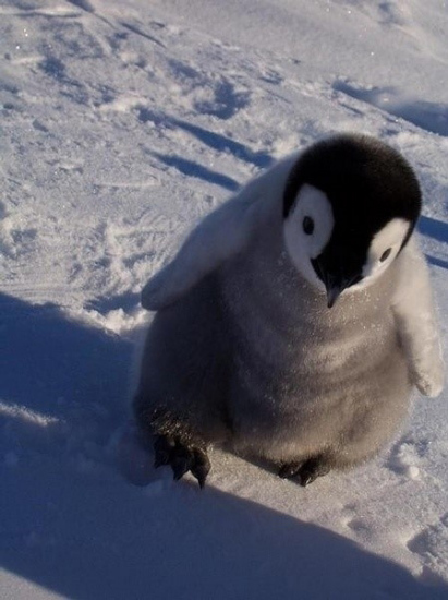 小動物最萌瞬間