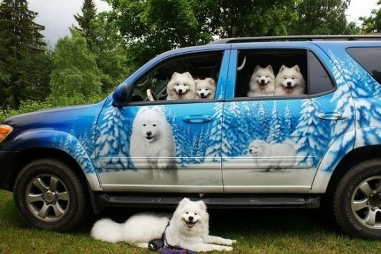 小動物最萌瞬間