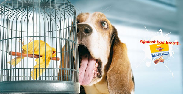 笑開懷！幽默廣告大集合