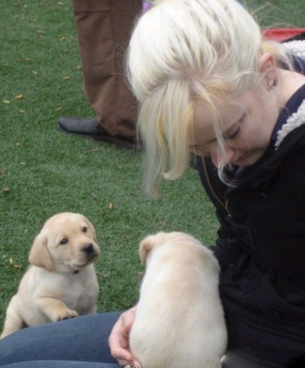 心情不好時看看這些趣圖吧