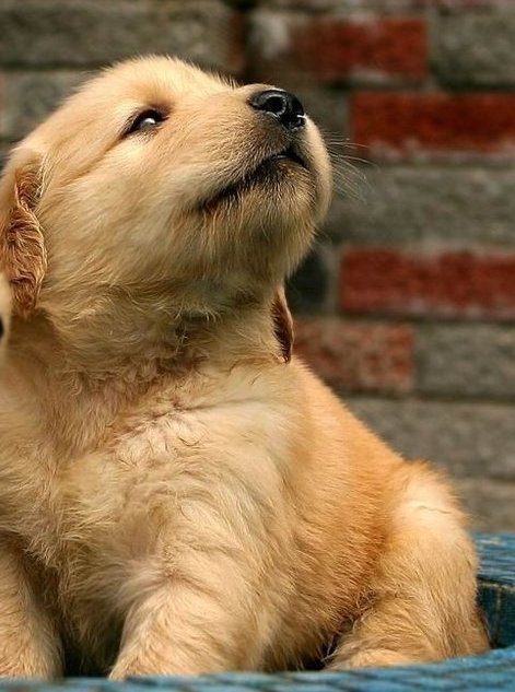 心情不好時看看這些趣圖吧