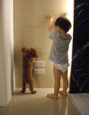 心情不好時看看這些趣圖吧