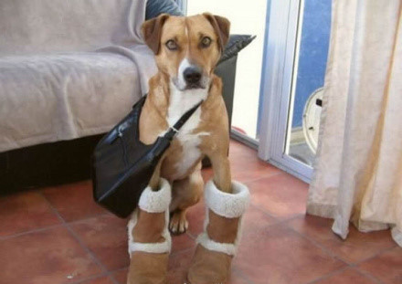 心情不好時看看這些趣圖吧