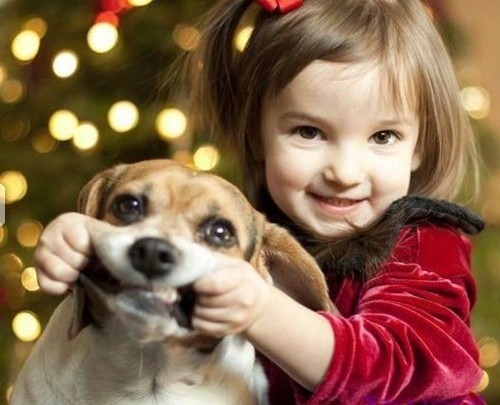 心情不好時看看這些趣圖吧