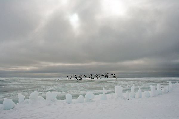 揭秘愛斯基摩人強悍捕鯨全程