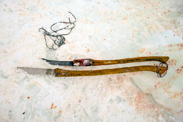 揭秘愛(ài)斯基摩人強(qiáng)悍捕鯨全程