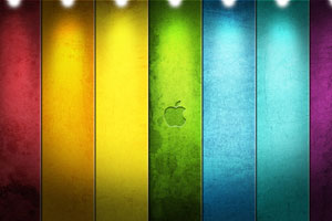 盤點各種年終獎 你們單位發啥迎2012？