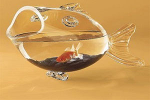 盤點(diǎn)各種年終獎(jiǎng) 你們單位發(fā)啥迎2012？