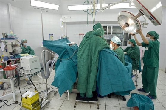 泰國變性人手術全過程大揭秘【組圖】