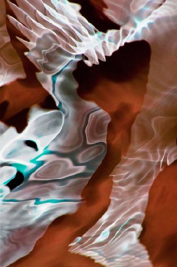 盲人攝影師的幻想藝術