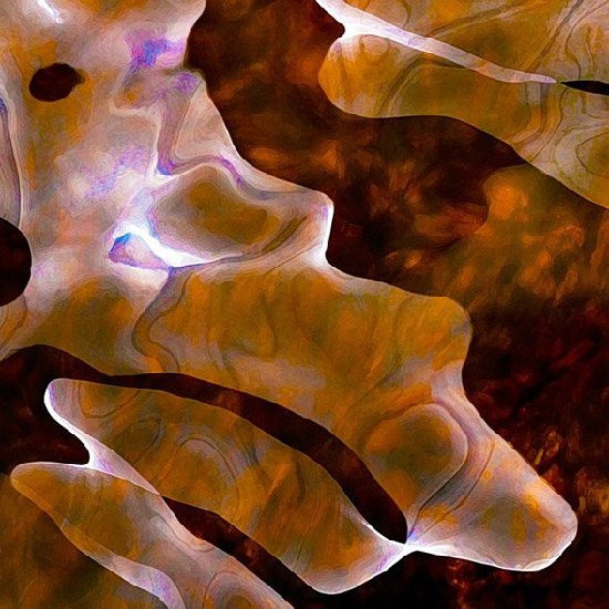 盲人攝影師的幻想藝術