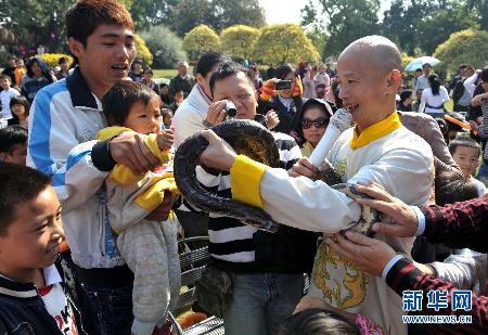 “亞洲蛇王”與蛇共舞