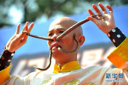 “亞洲蛇王”與蛇共舞