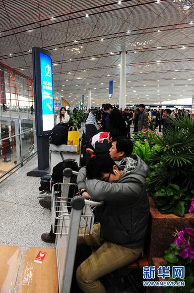 大霧天氣今起加威 預(yù)警升至最高等級