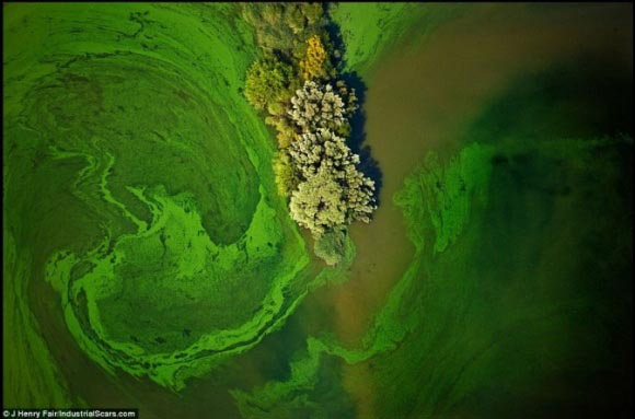 這是地球傷痕 不是玩藝術