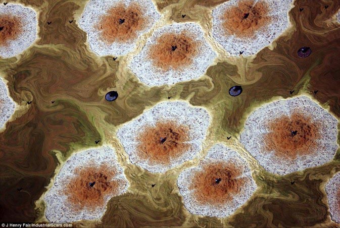 這是地球傷痕 不是玩藝術