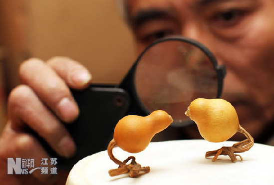 南京驚現“天價葫蘆”