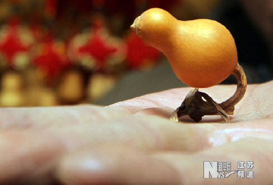 南京驚現“天價葫蘆”