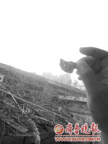 煙臺出土史前酒杯 薄如蛋殼厚不超過1毫米