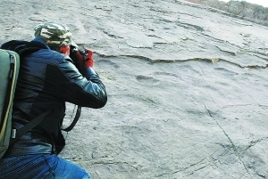 北京首次發現恐龍存活記錄:延慶驚現數百個大腳印