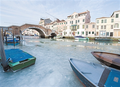 生活與科技:人腦控制假肢 靈活堪比真臂(組圖)