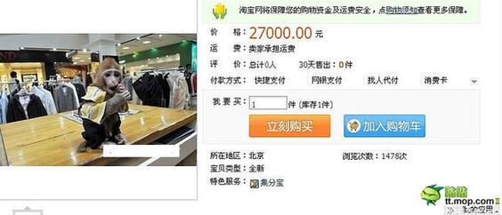 能買猴子當寵物 人類已經無法阻止網購了