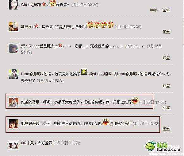 能買猴子當寵物 人類已經無法阻止網購了