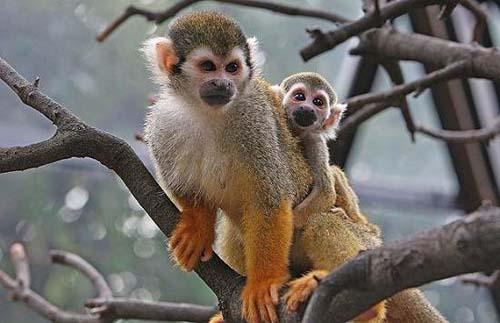 15大最奇怪的機場命名