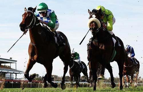 15大最奇怪的機場命名