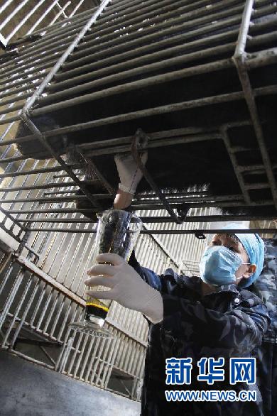 “活熊取膽”該達成什么樣的共識