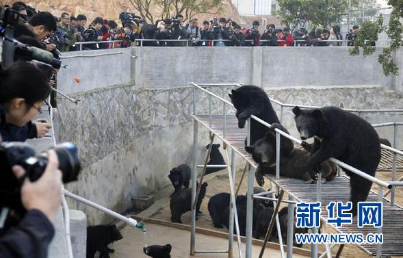 “活熊取膽”該達(dá)成什么樣的共識(shí)