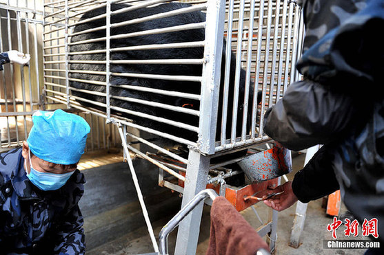 “活熊取膽”該達(dá)成什么樣的共識(shí)