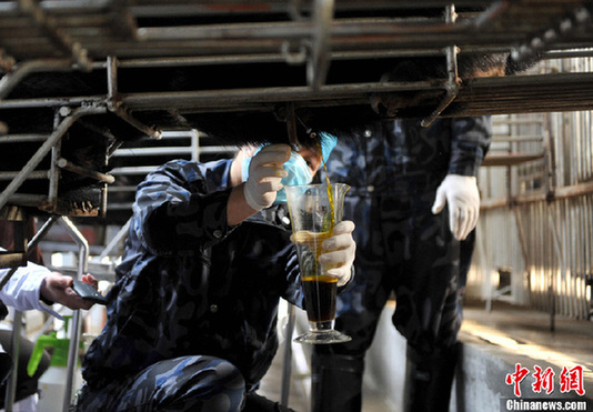 “活熊取膽”該達(dá)成什么樣的共識(shí)