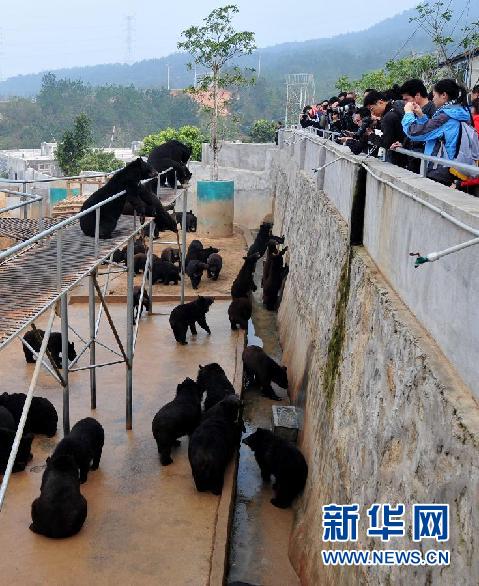 “活熊取膽”該達成什么樣的共識