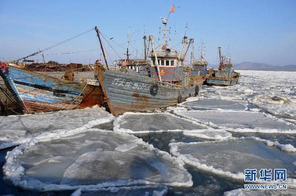 大連海域海冰融化 大量浮冰涌到岸邊