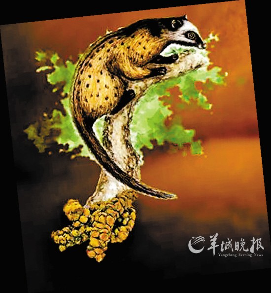 盤點動物糞便6大妙用:抹香鯨糞便可做香水