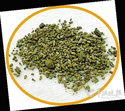 盤點動物糞便6大妙用:抹香鯨糞便可做香水