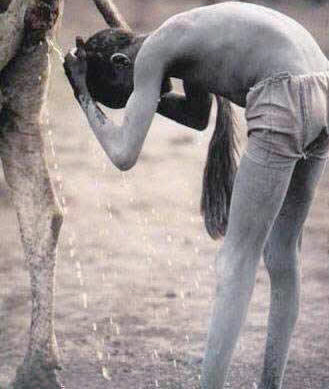 盤點動物糞便6大妙用：抹香鯨糞便可做香水